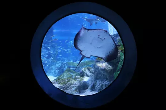 1mj0x12000gci0sirDA69.png