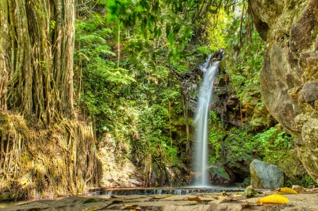 curug putri palutungan photo