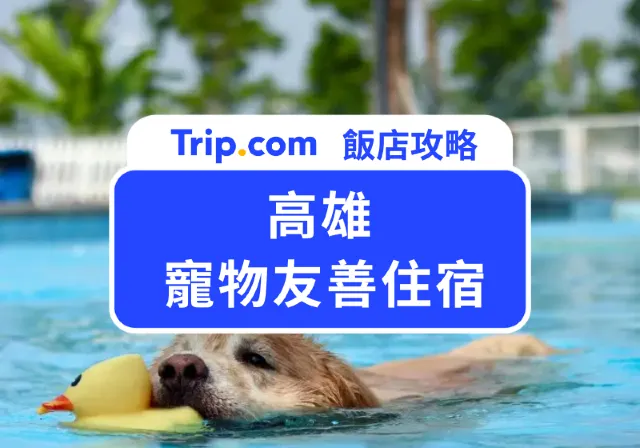 高雄寵物友善住宿