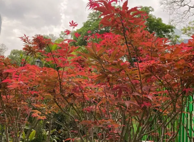 香港動植物公園