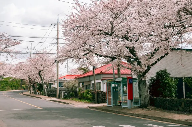 長田裏