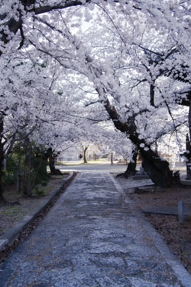 立本寺