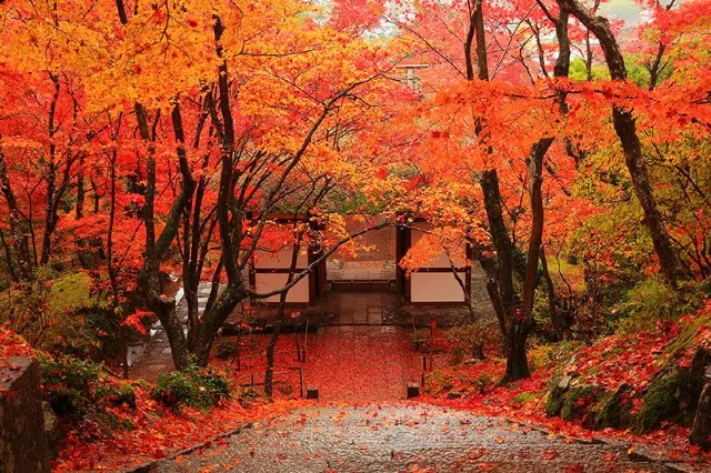 常寂光寺