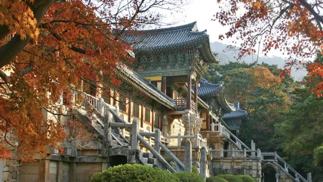 경북 경주 단풍 명소 불국사