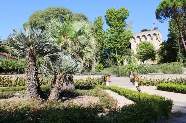 몽펠리에 여행, 아비뇽 여행, 몽펠리에 식물원