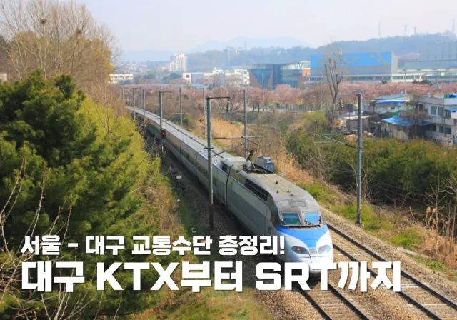 대구 ktx