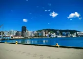살기 좋은 도시 뉴질랜드 웰링턴 여행 정보 총정리