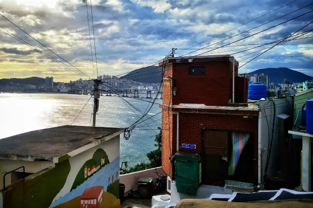 부산 스노클링