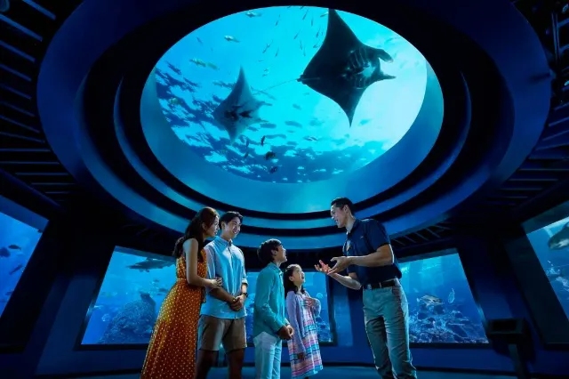 Attractions in Singapore - S.E.A. Aquarium
