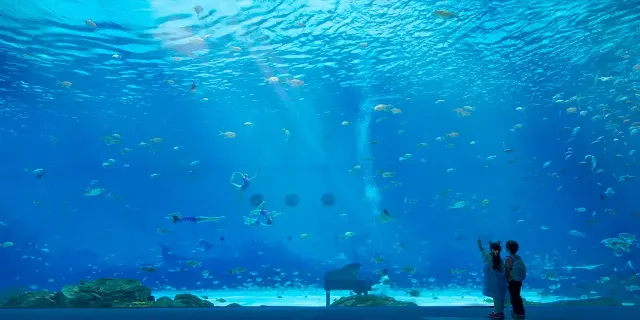 1mj1412000geuajl5E1E7.png