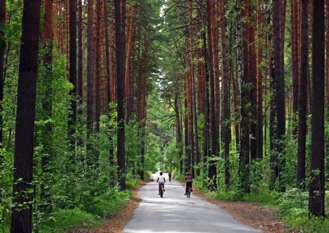 Заельцовский парк