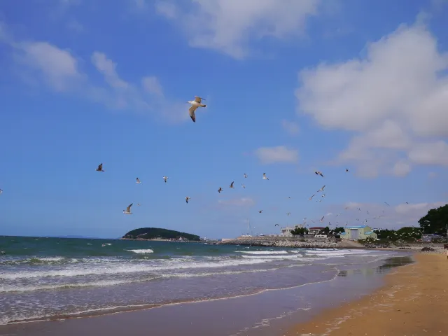 대천해수욕장