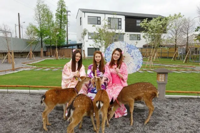 宜蘭張美阿嬤農場