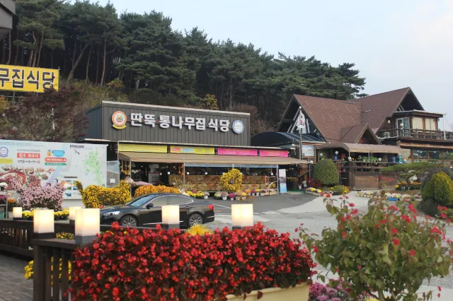 태안 맛집