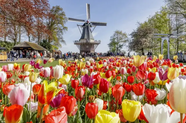 Keukenhof