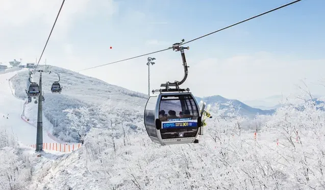 정선 하이원리조트 스키장