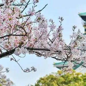 10大日本電話卡推介| eSIM、無限數據、上網卡、數據卡價錢日數比較