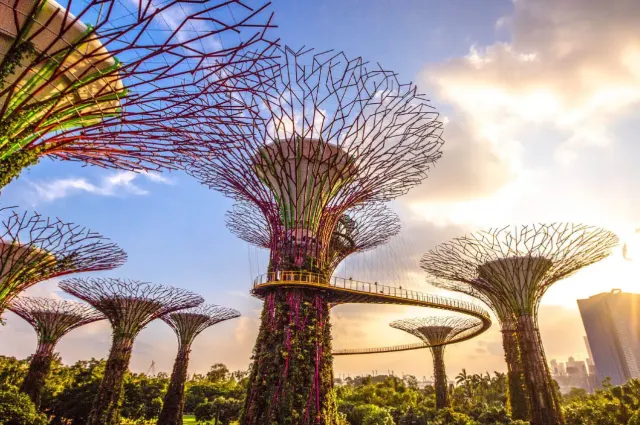 新加坡濱海灣花園（Gardens by the Bay）