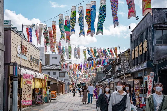 [가와고에 당일치기 여행] 도쿄에서 1시간이면 도착! 근교 소도시 가와고에 가볼만한 곳, 여행 코스, 맛집, 패스 총정리