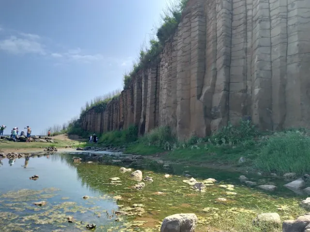 池東大菓葉玄武岩