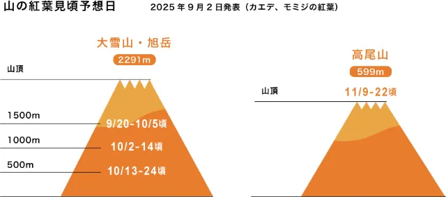 山中赏枫最佳时间预测