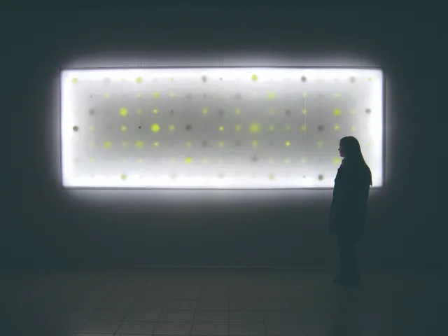 東京都現代美術館
