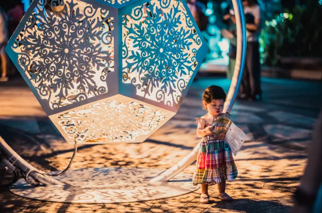 Christmas Wonderland 2025 Light Displays