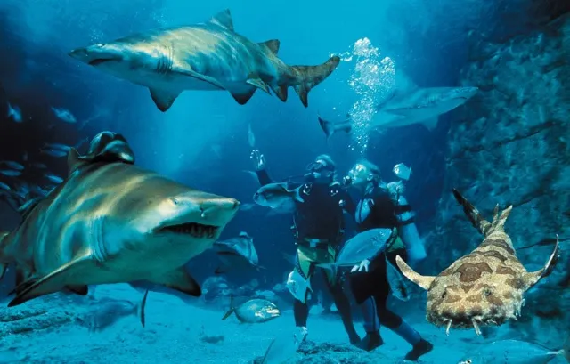 부산 가볼 만한 곳, 부산 놀거리, 씨라이프 부산 아쿠아리움