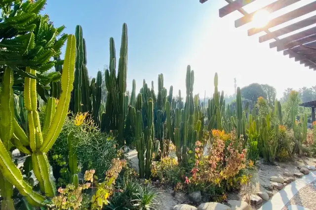 廈門園林植物園