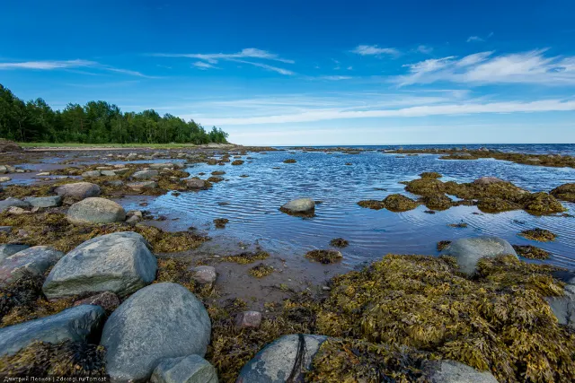 Карелия. Белое море