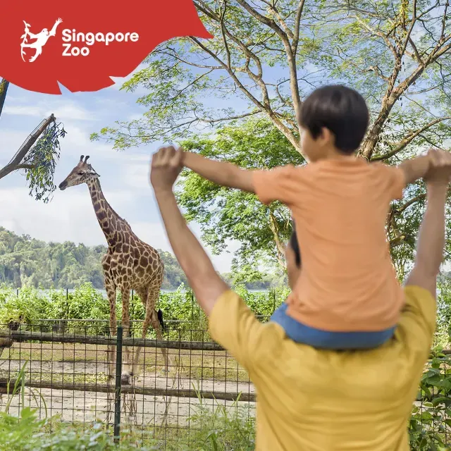 Singapore Zoo