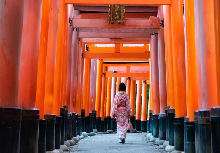 Japan entry requirements: Can I travel to Japan? 