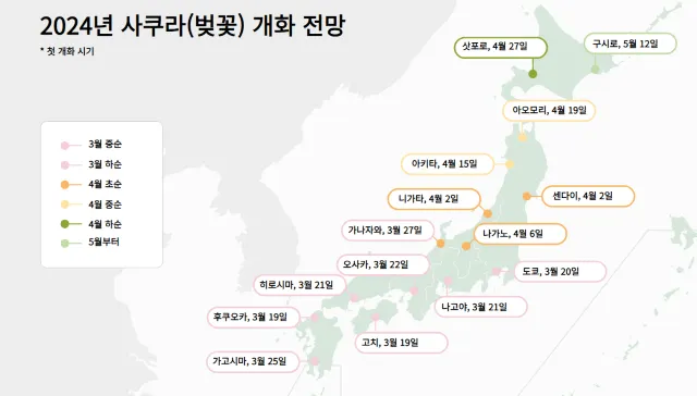 일본 벚꽃