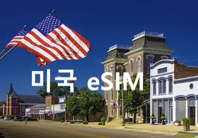 미국 eSIM