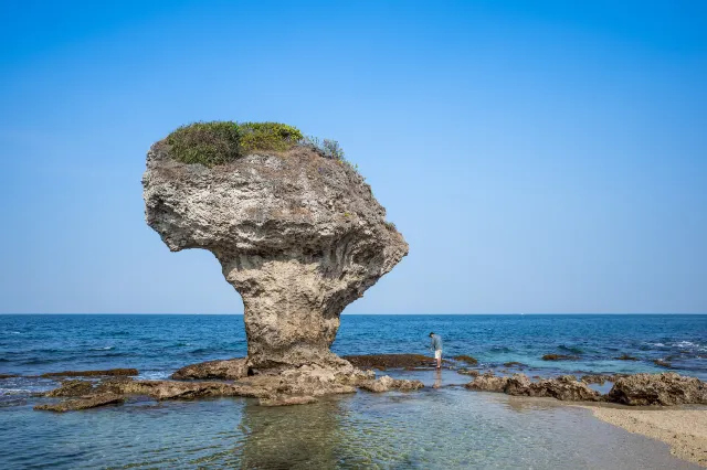 琉球嶼
