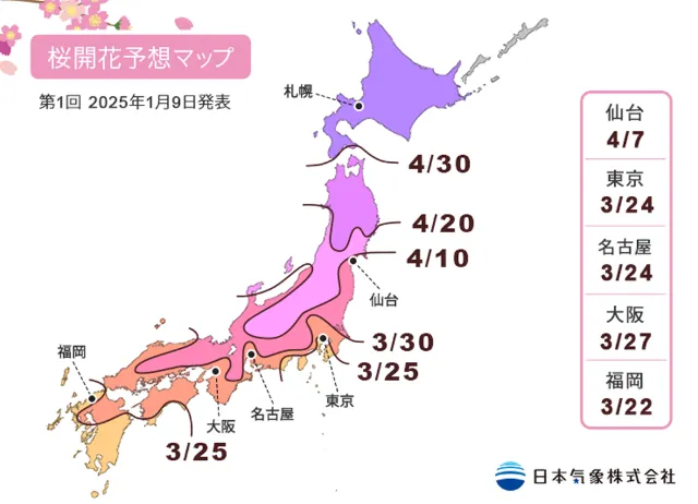 名古屋櫻花2025