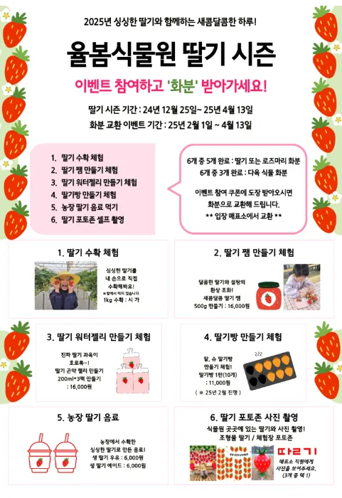딸기축제