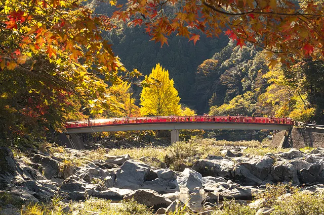 紅葉スポット2026】紅葉見頃はいつ？全国の紅葉名所・見頃時期