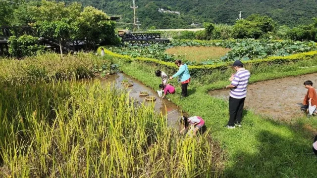 野草花果有機農場