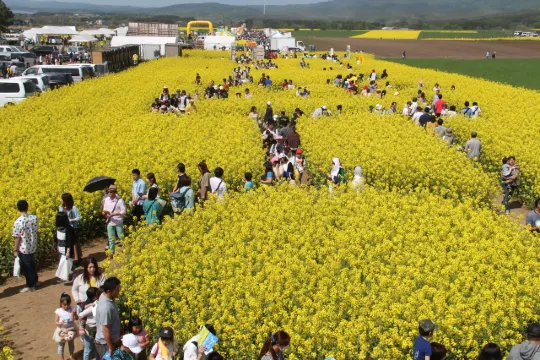 横浜町の丘陵地帯(青森)
