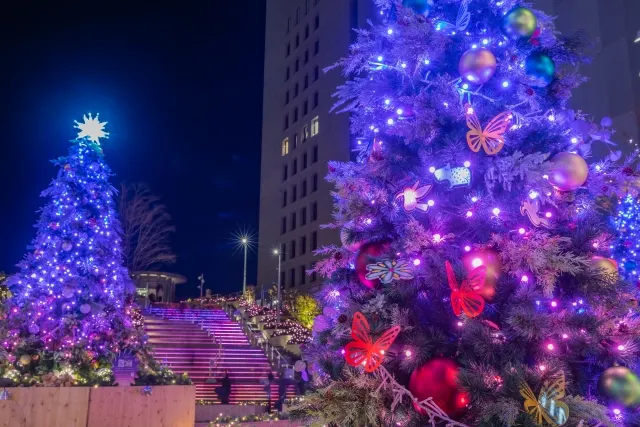 イルミネーション