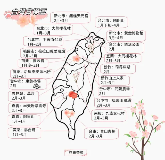 台北賞櫻