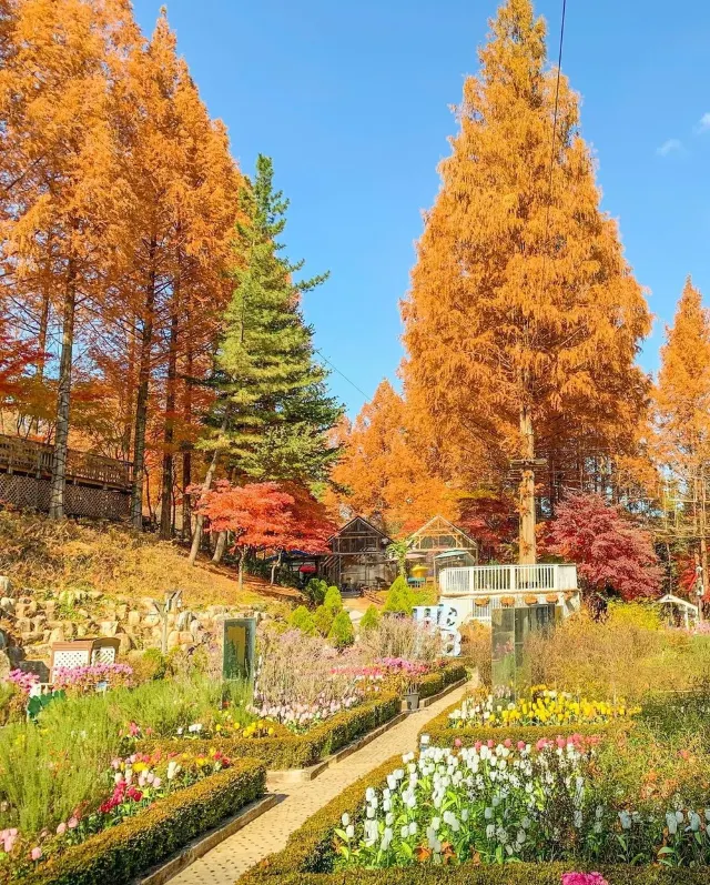 香草之丘