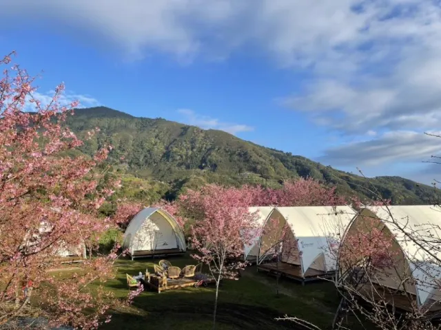 桃園卡果牧場免裝備露營