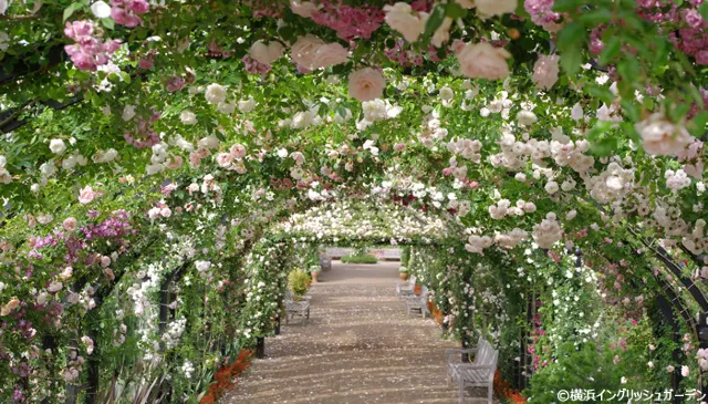 横浜イングリッシュガーデン