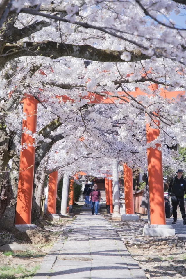 竹中稲荷神社
