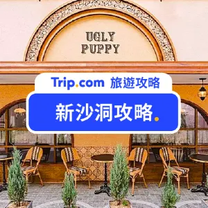 【新沙洞攻略】2026 新沙洞林蔭大道逛街地圖全攻略，交通、必逛店家、知名美食推薦