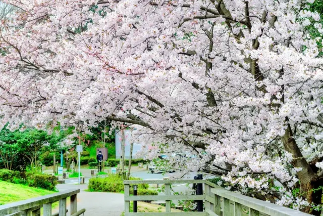 日本福岡西公園