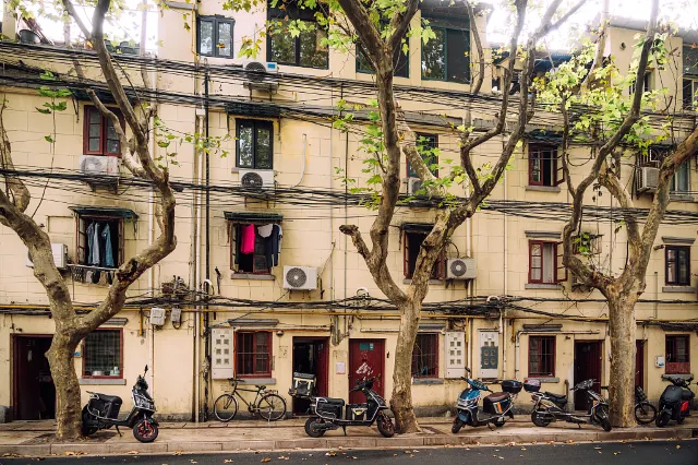 Shanghai Former French Concession street lined with sycamore trees
