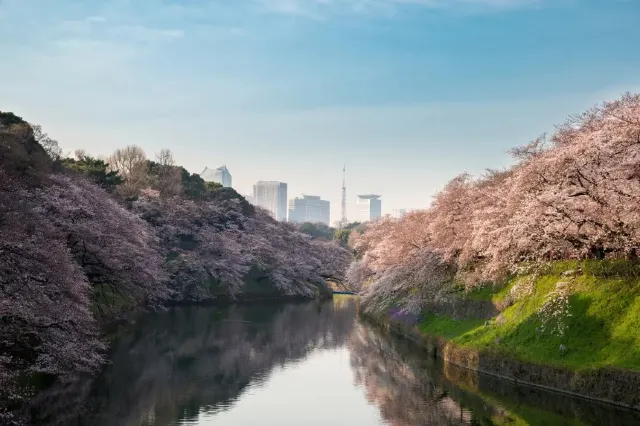 日本東京千島淵